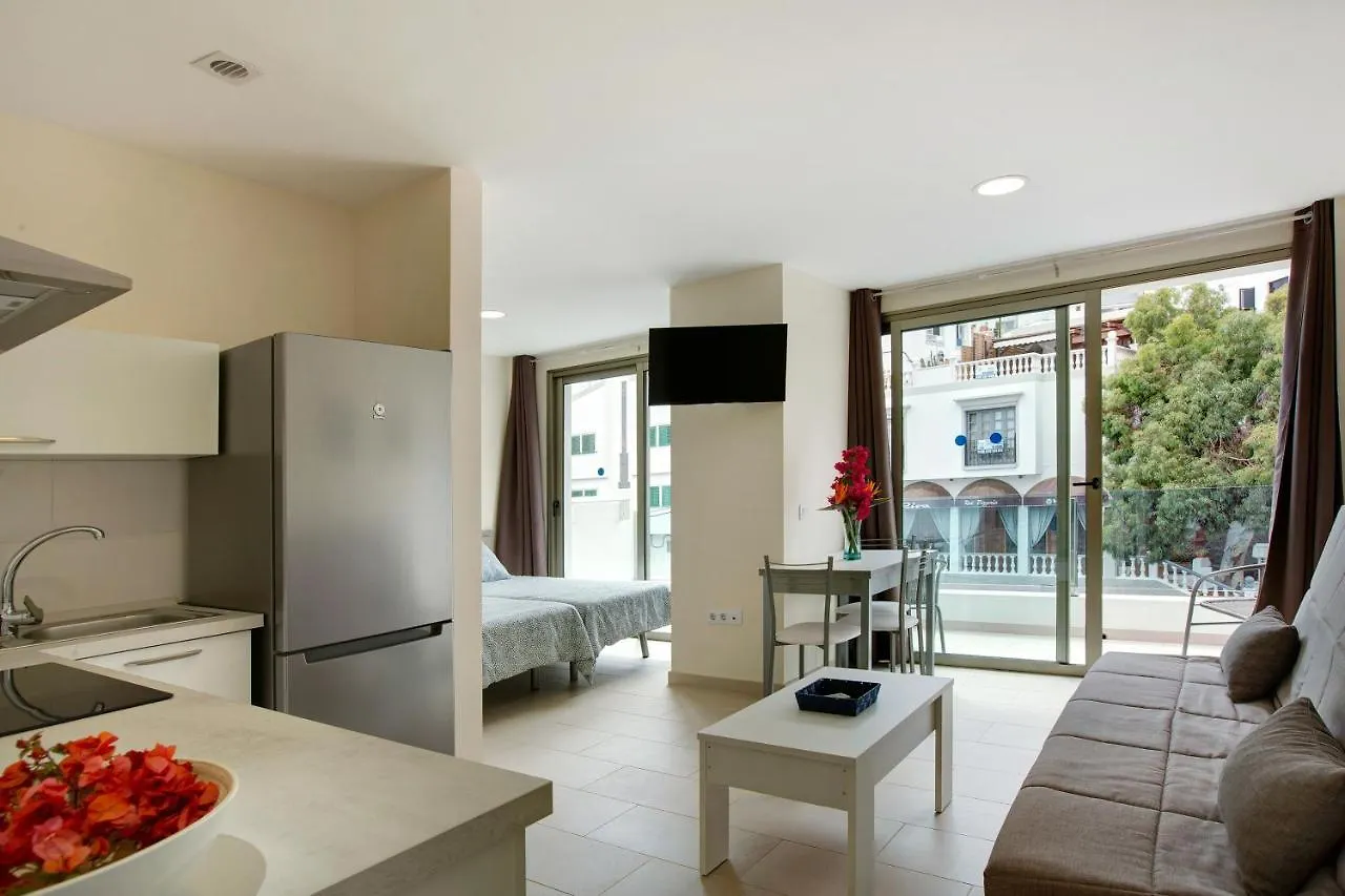 Albamar 1C Apartment Puerto De Mogan 0*,  Spain